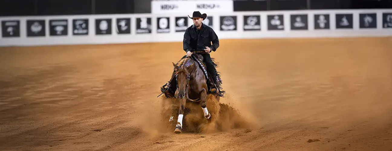 Marcos Guimarães Reining Horses - Image 2