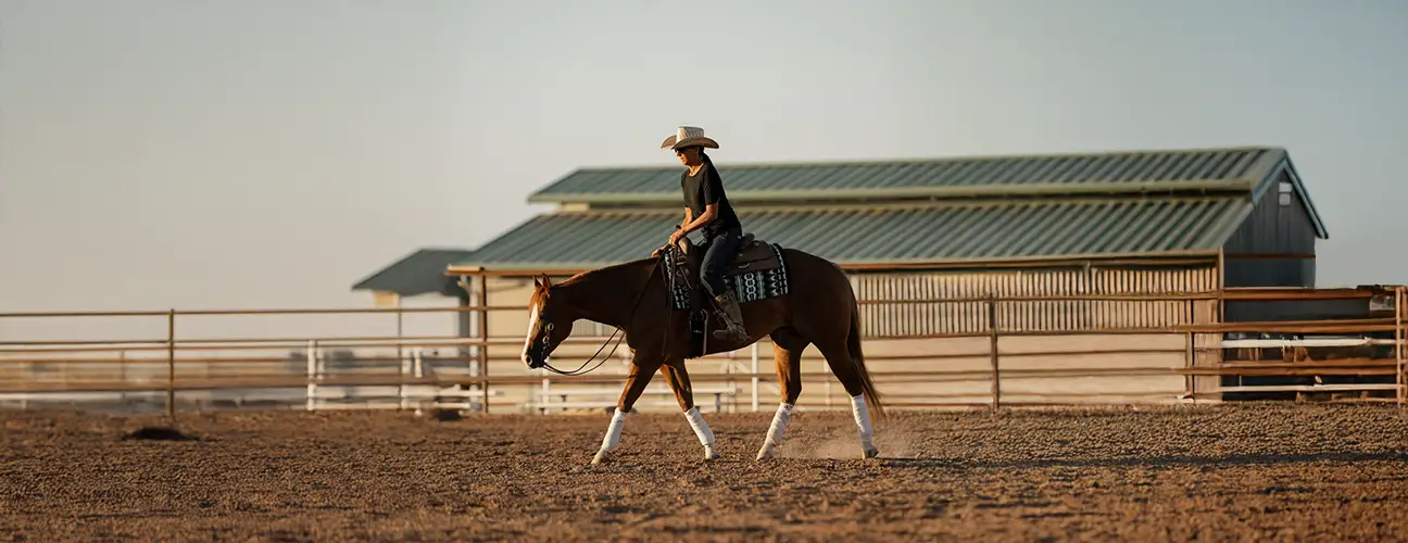 Ashley Wilson-Hammer Reining Horses - Image 3