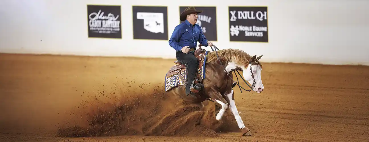 Fappani Performance Horses - Image 3