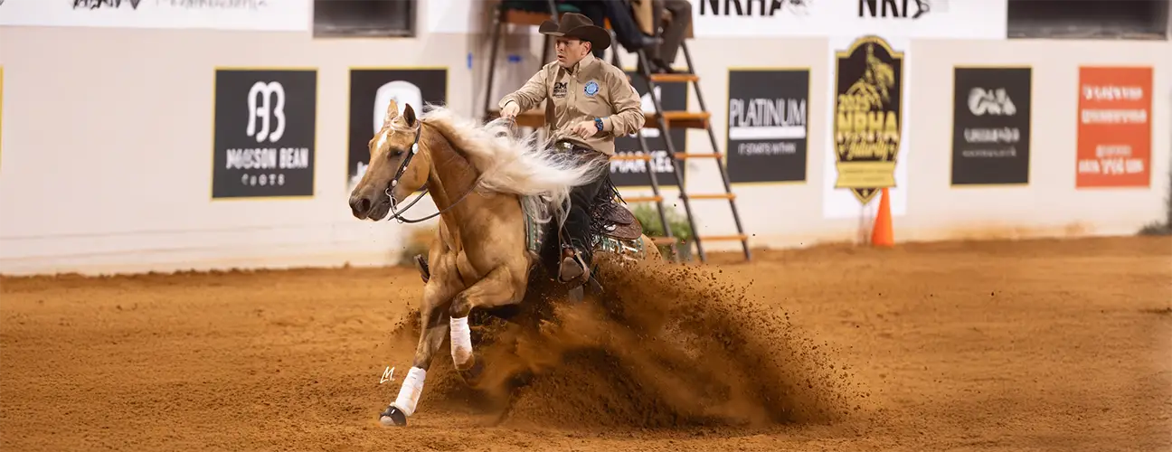 Fernando Salgado Reining Horses