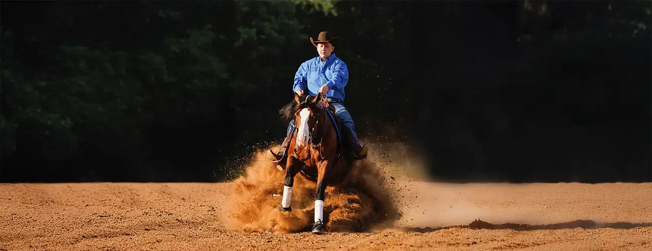 Wade McDonald Reining Horses