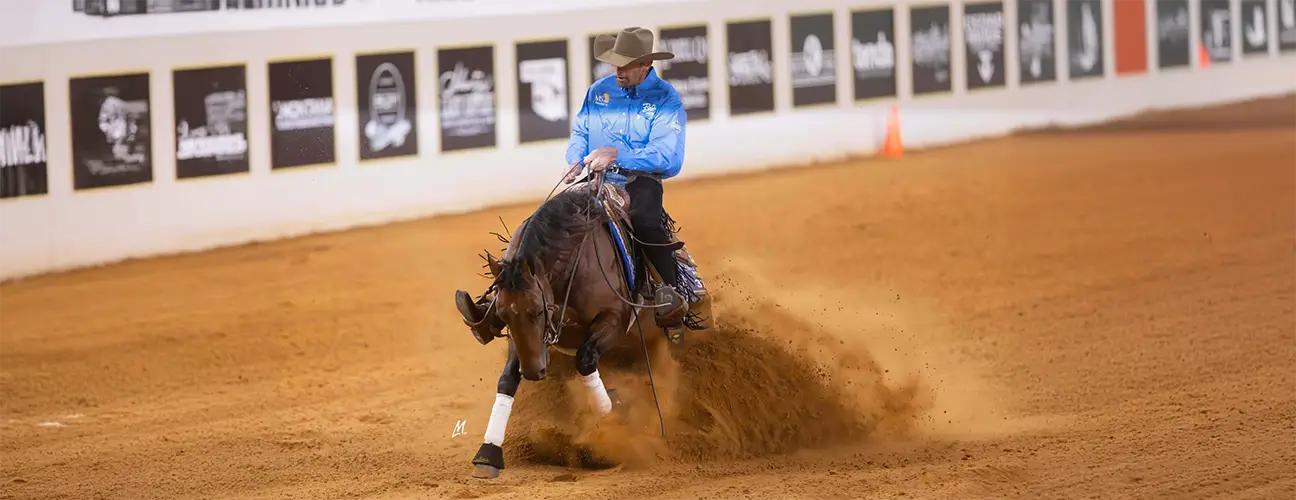 Lior Dubowski Reining Horses