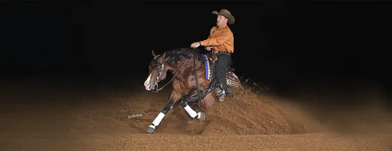 Fappani Performance Horses