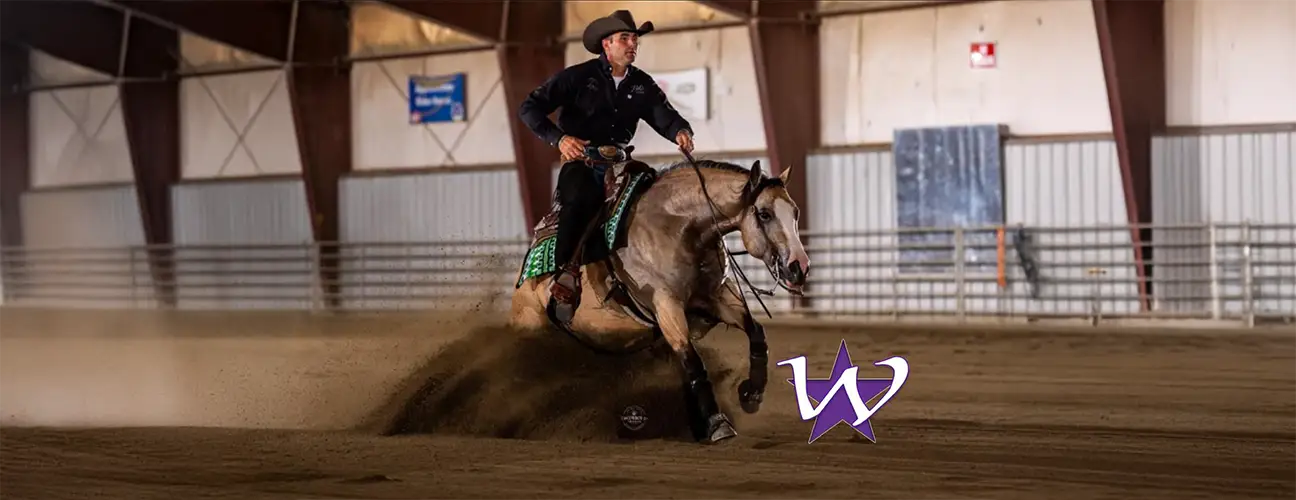 Travis Wigen Reining Horses - Image 5