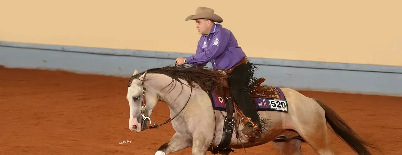 Franco Bertolani Reining Horses - Image 2