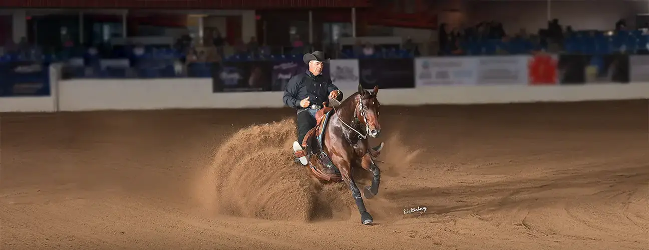 Marco Ricotta Reining Horses - Image 2