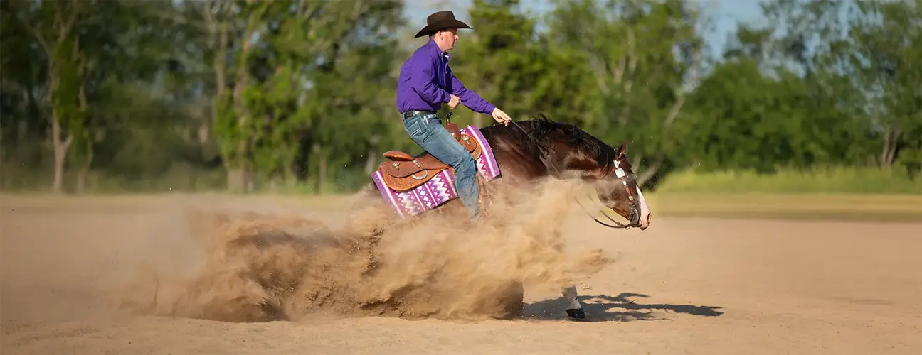 Wade McDonald Reining Horses - Image 2