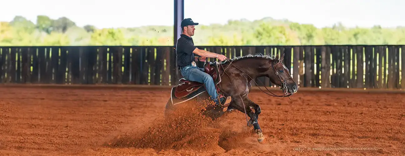 Glen-Arthur Estival Reining Horses - Image 2