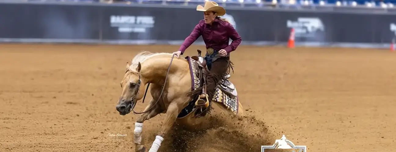 Ashley Kelkenberg Reining Horses - Image 1