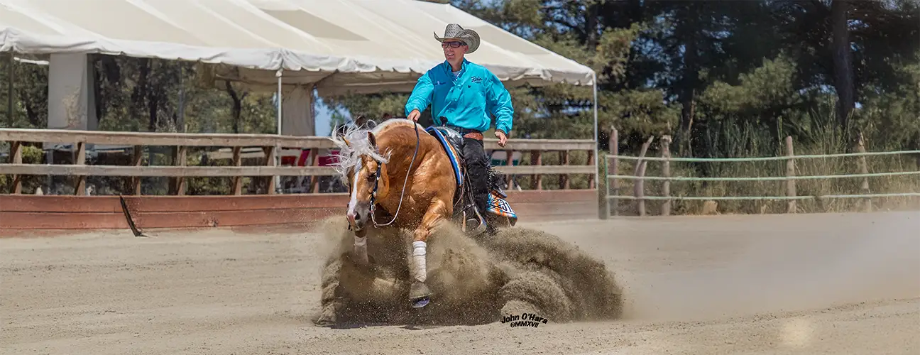 Gabe Hutchins Reining Horses - Image 1