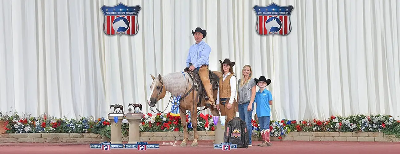 Matt Gouthro - BMG Show Horses - Image 3