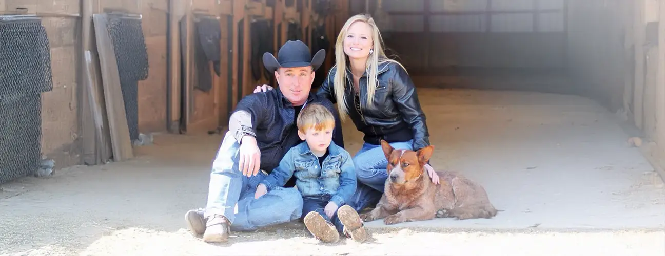 Matt Gouthro - BMG Show Horses - Image 2